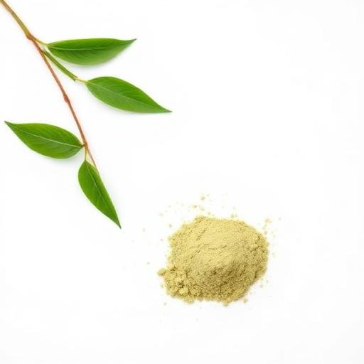Green Tea Extract